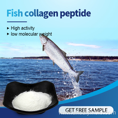 Wholesale Price Hydrolyzed Protein Collagen Peptides Powder